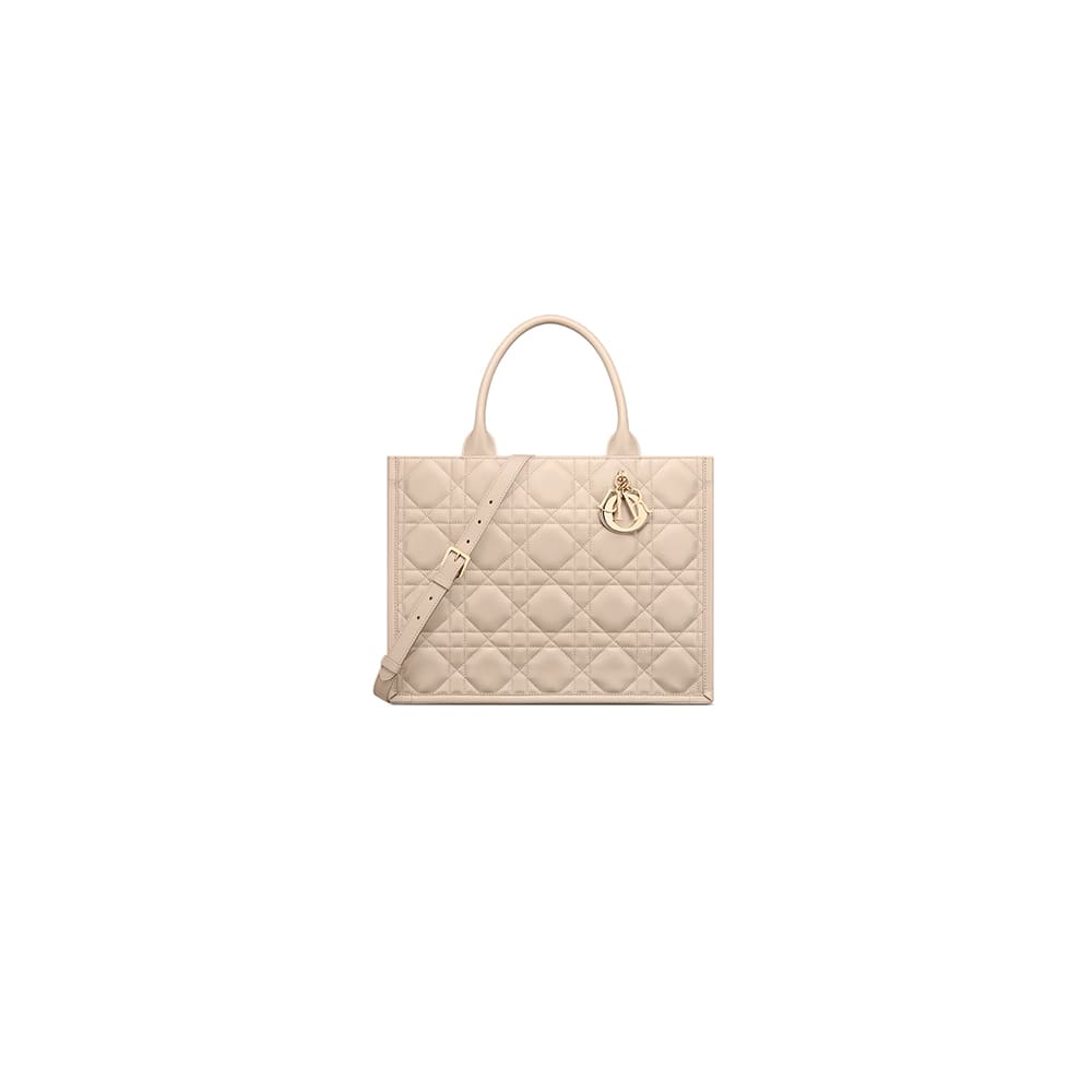 Dior Medium Dior Book Tote