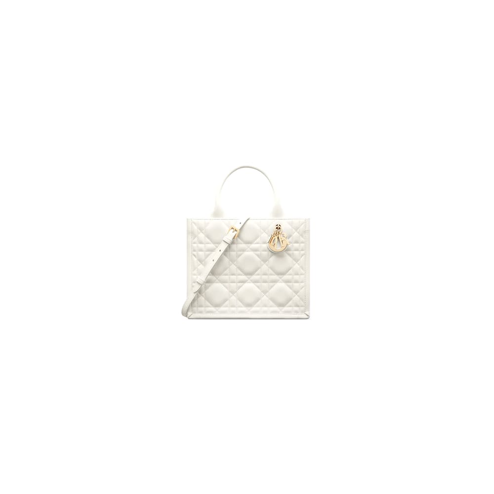 Dior Small Dior Book Tote