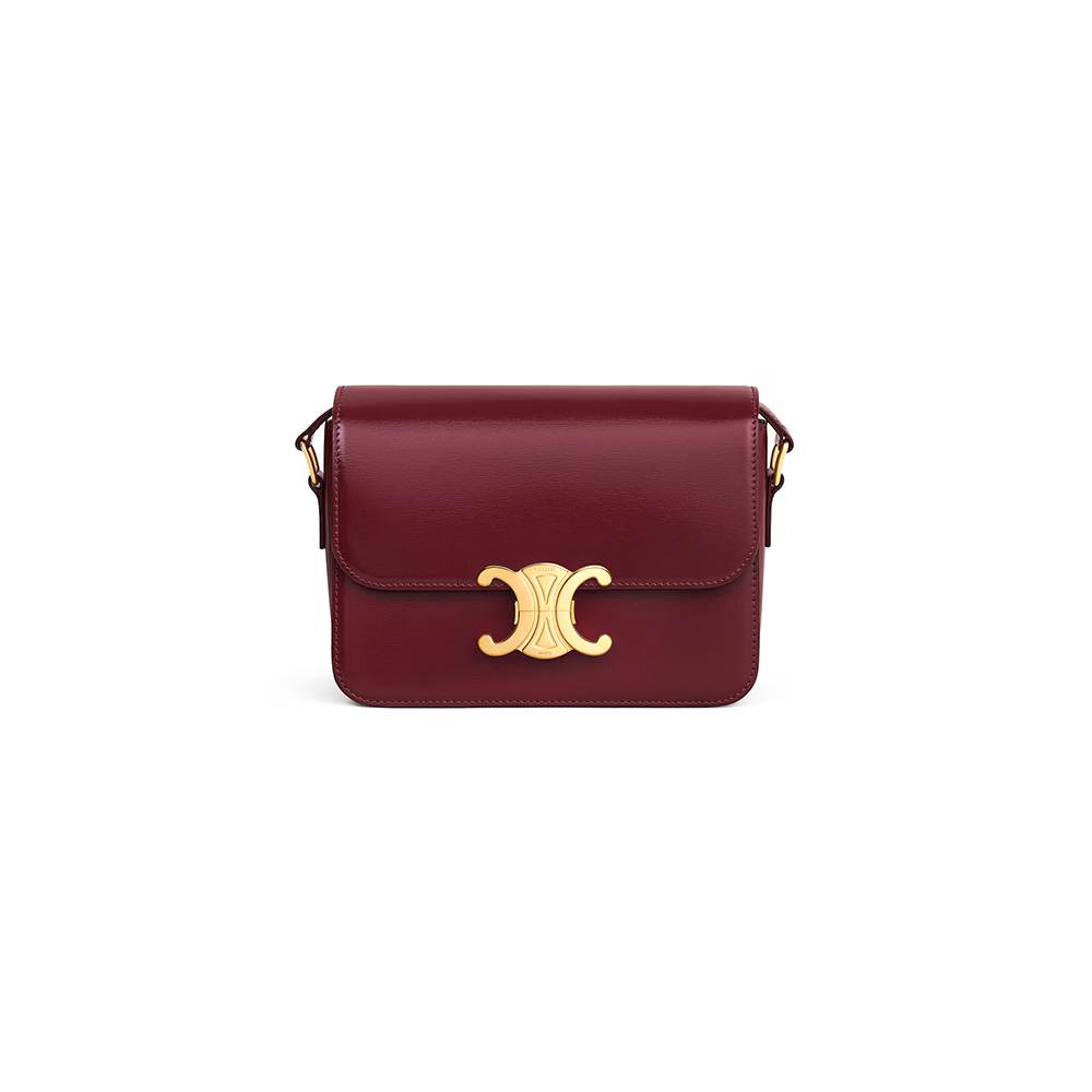 Celine TEEN TRIOMPHE BAG IN shiny calfskin(HIGH-END GRADE)