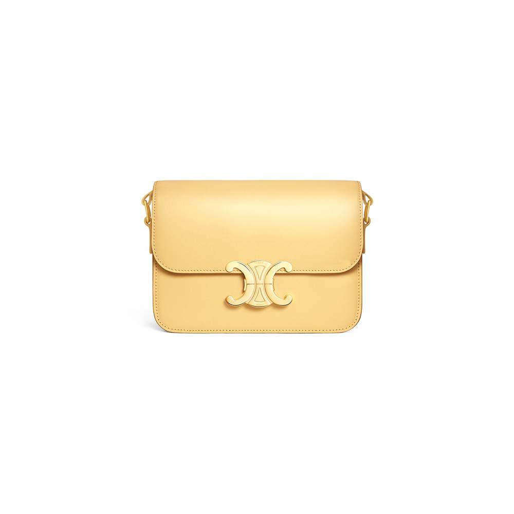Celine TEEN TRIOMPHE BAG IN shiny calfskin(HIGH-END GRADE)