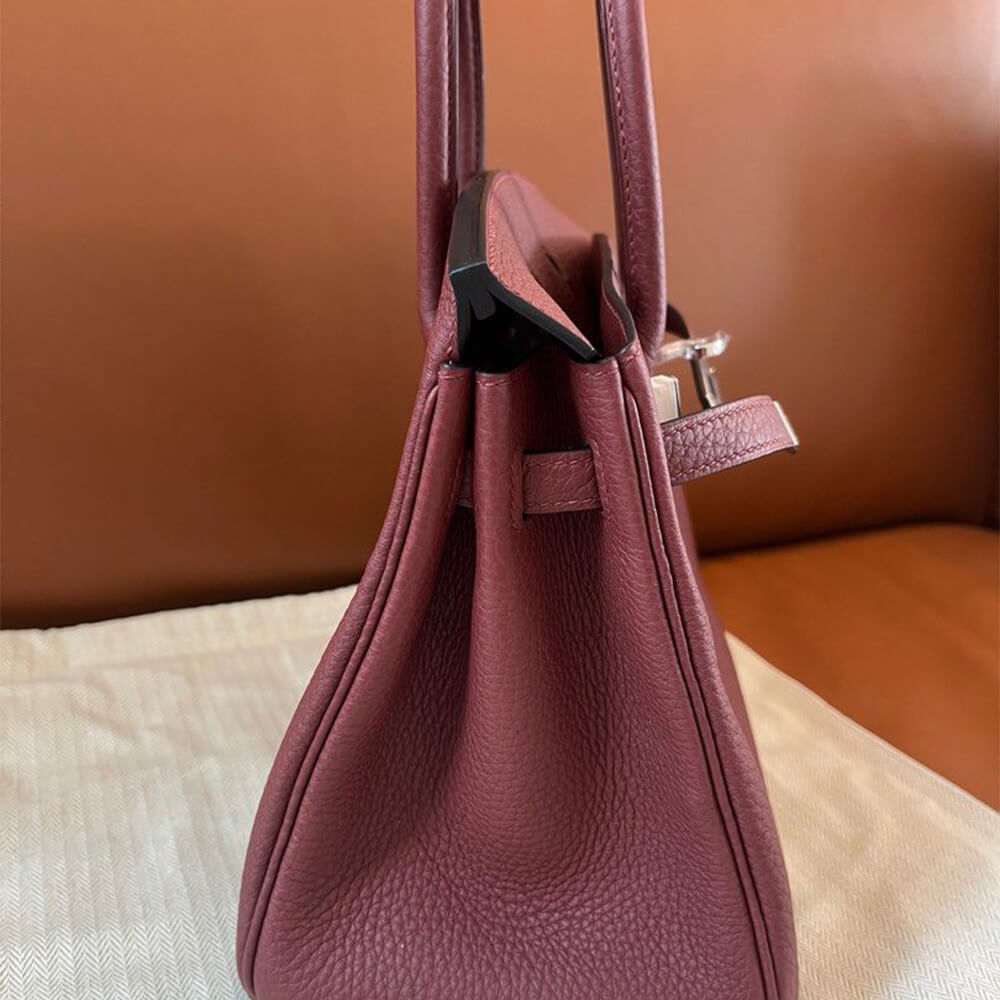 HERMES BIRKIN BAG 25(HIGH-END GRADE) - Image 8