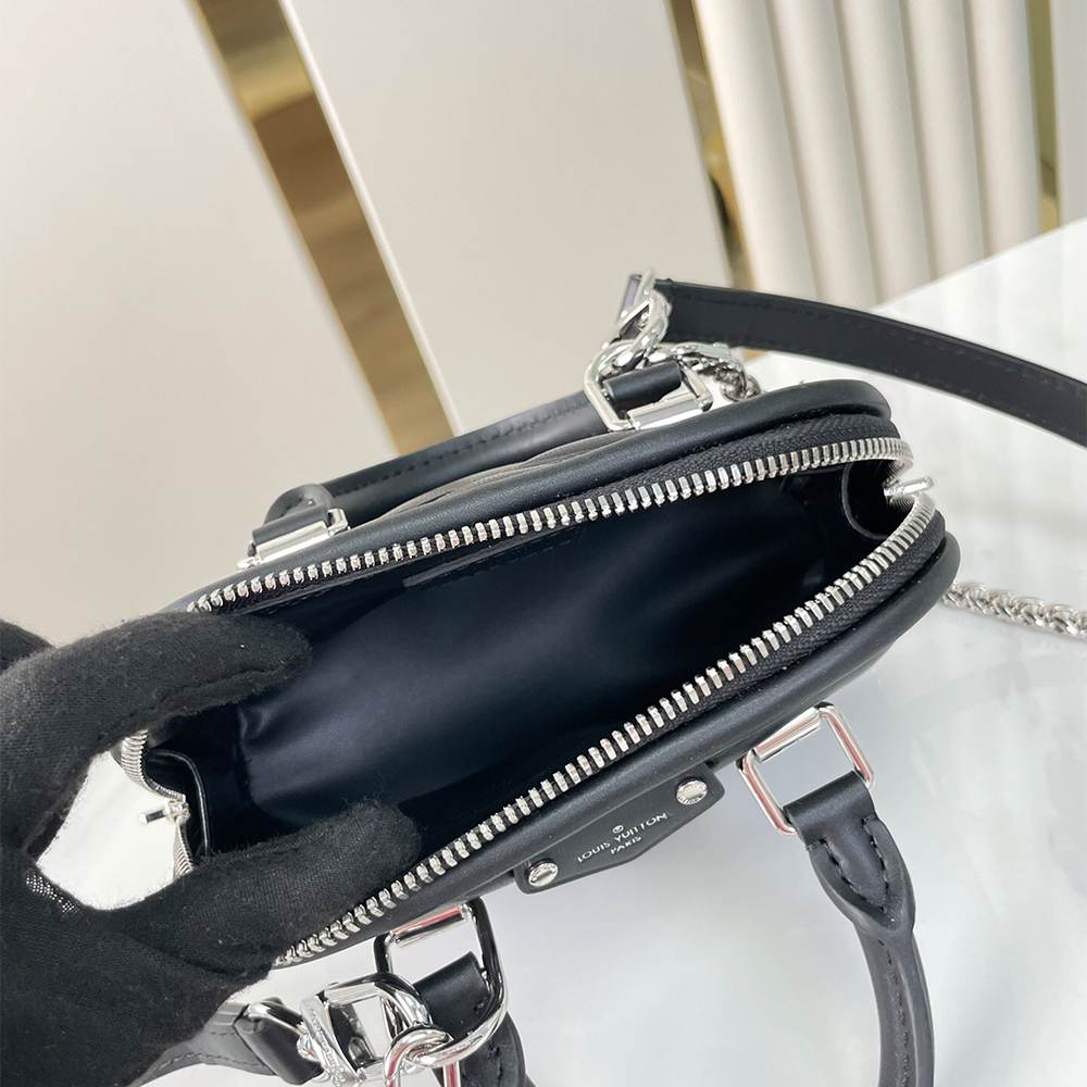 Alternative view of LV Nano Alma(HIGH-END GRADE)